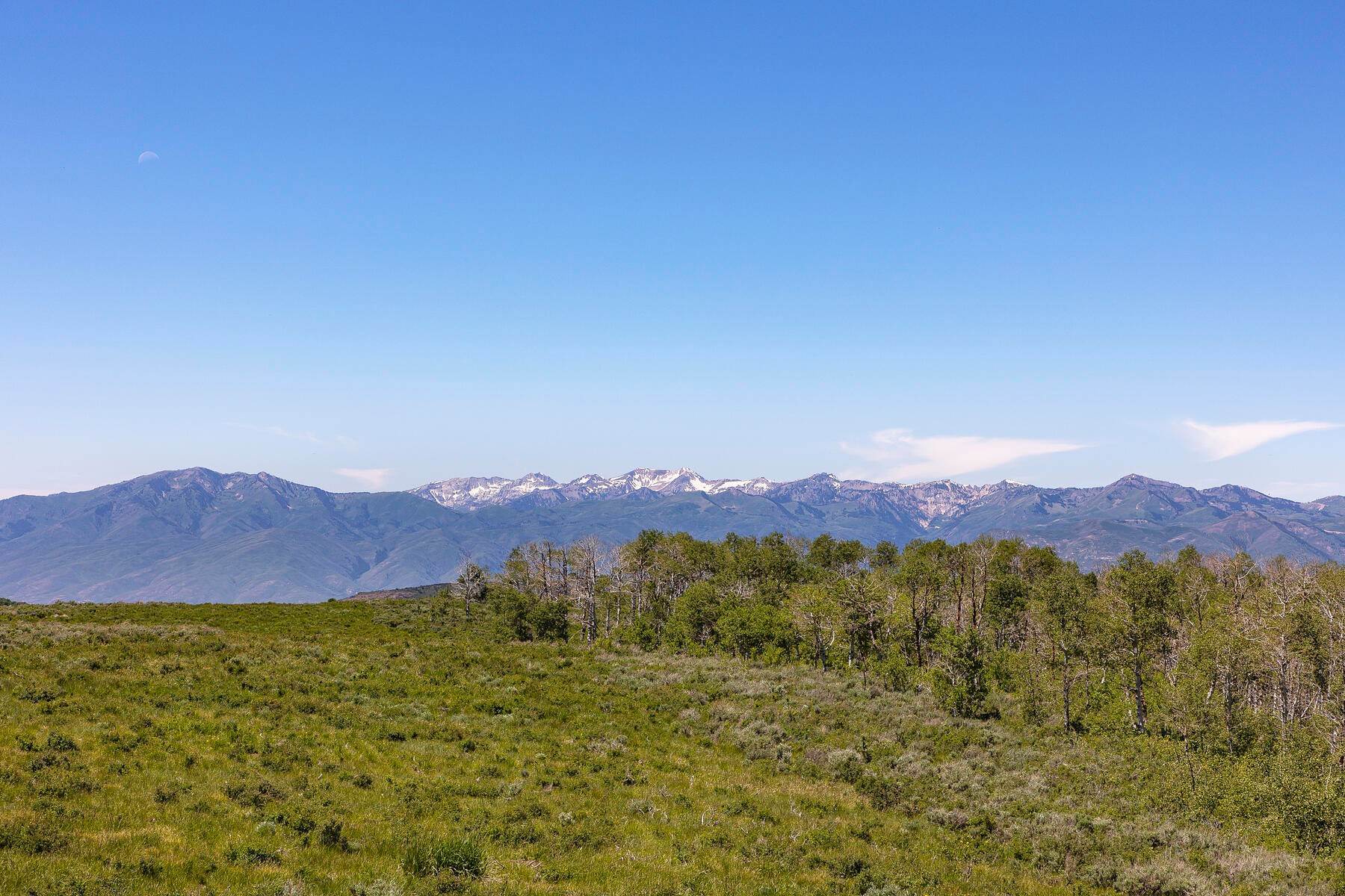 18. Land for Sale at Shovel Ready Retreat Property with Premier Privacy and Panoramic Views 9482 E Forest Creek Road, Lot #5 Heber City, Utah 84032 United States