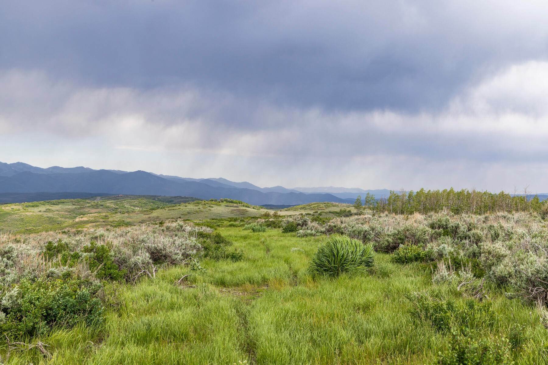 34. Land for Sale at Shovel Ready Retreat Property with Premier Privacy and Panoramic Views 9482 E Forest Creek Road, Lot #5 Heber City, Utah 84032 United States