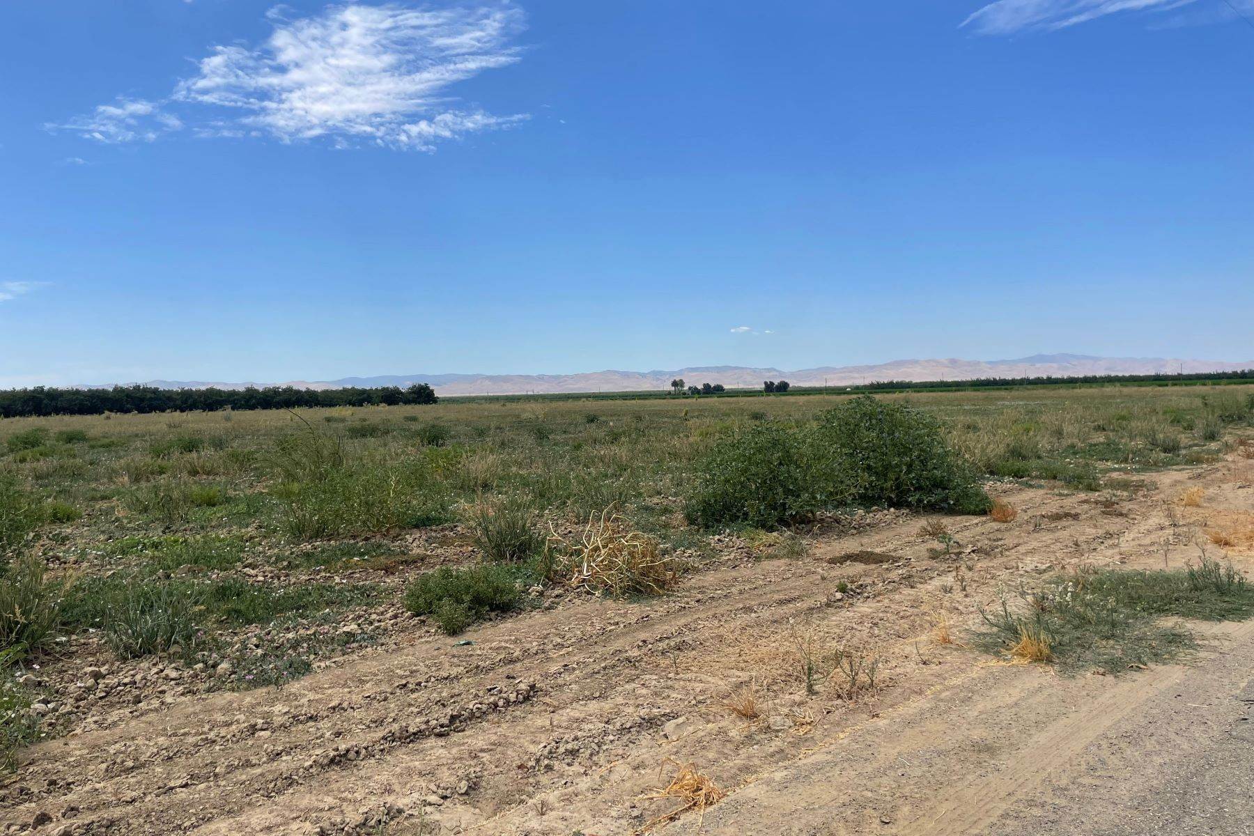 5. Land for Sale at 0 Dodds Road, Crows Landing, CA, 95313 0 Dodds Road Crows Landing, California 95313 United States